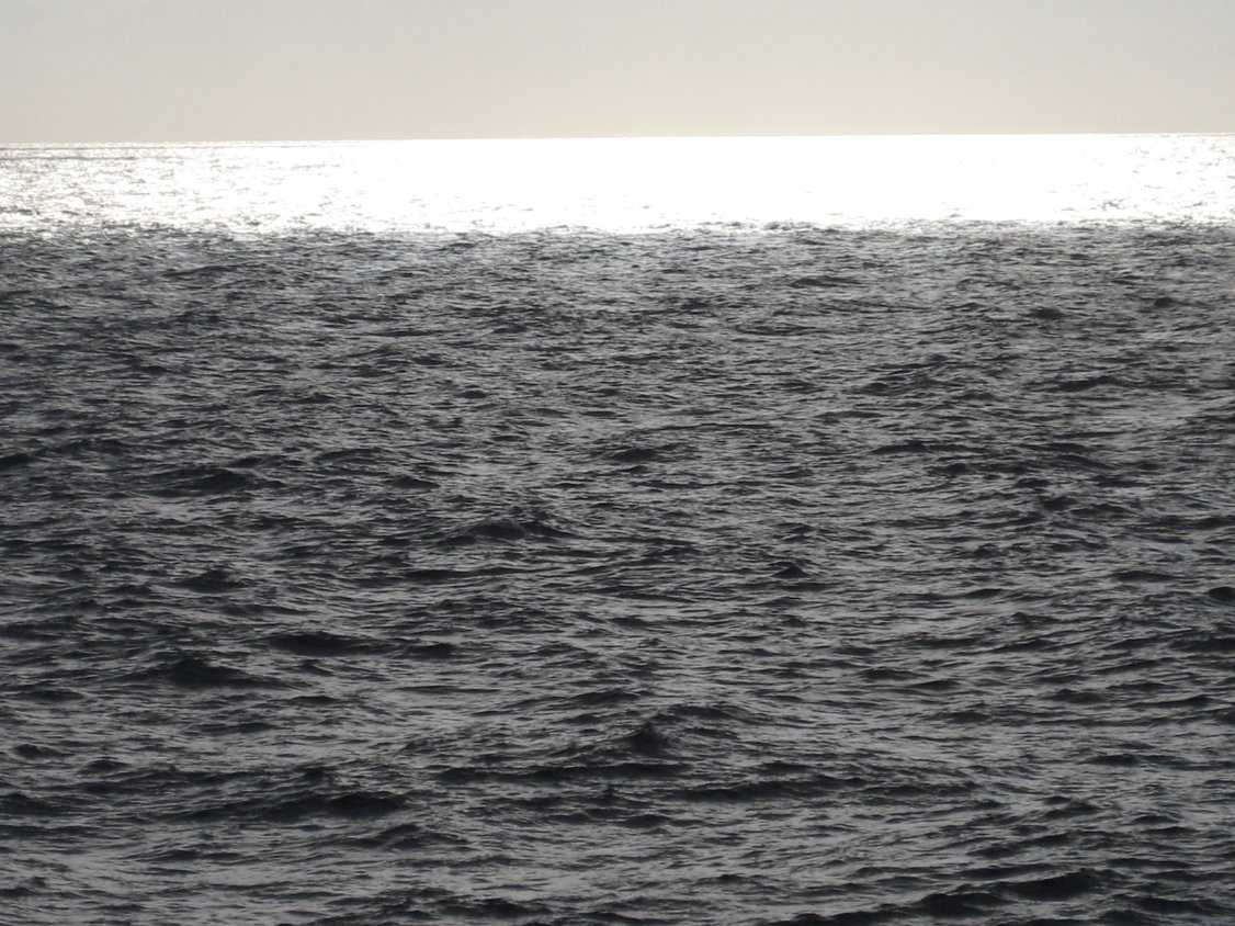 auf Great Inagua Island (180)