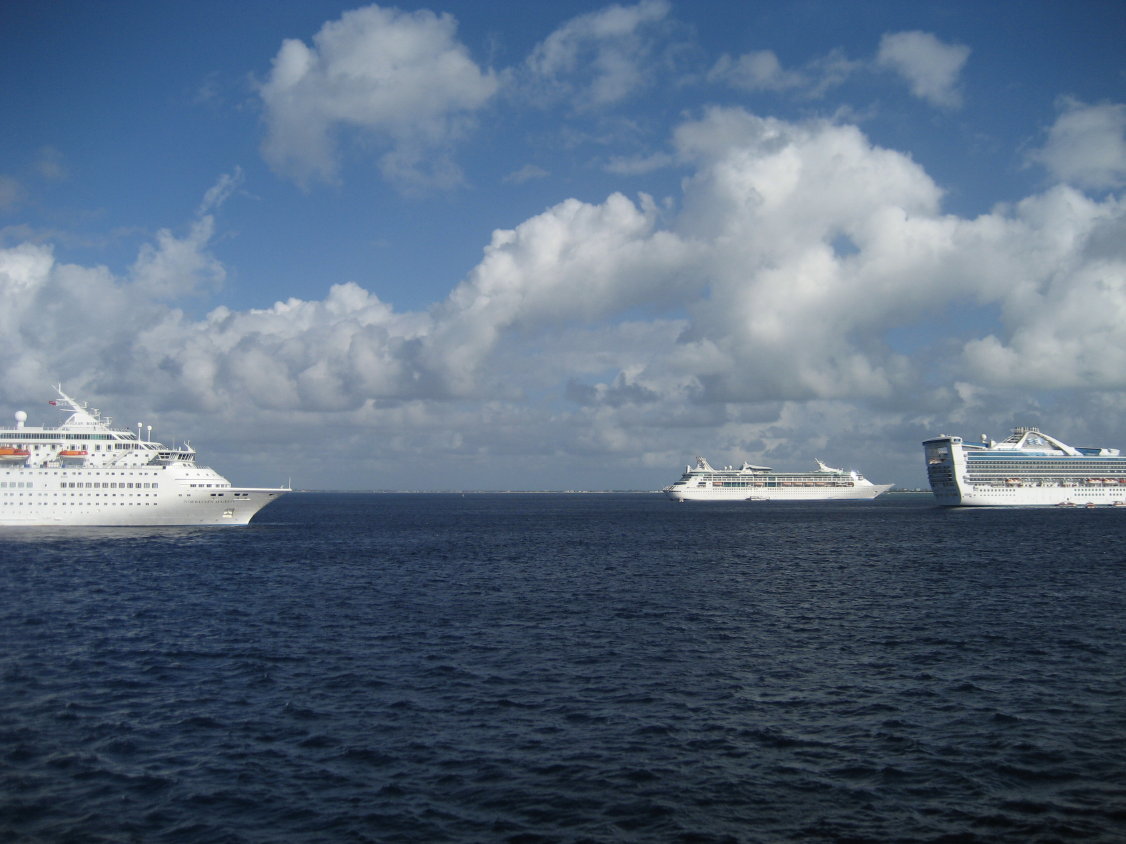 auf die NORWEGIAN MAJESTY (180)