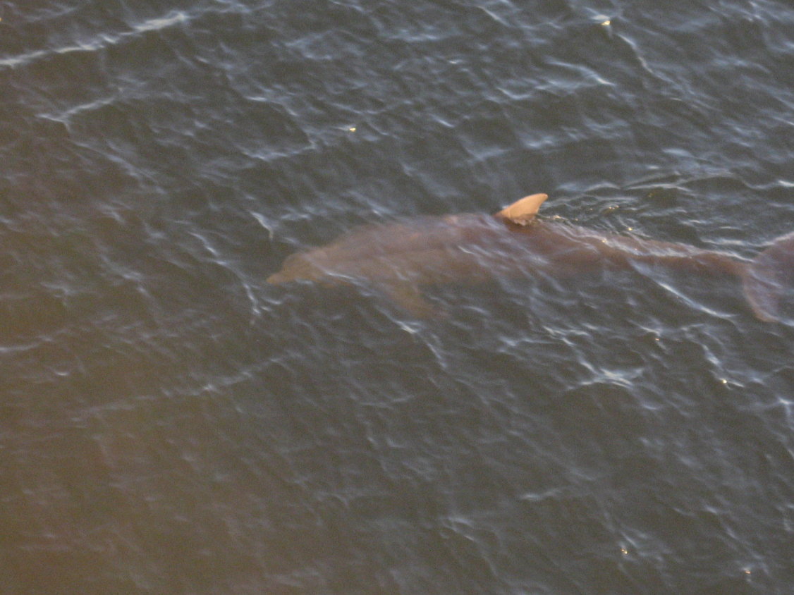 Nun reicht es uns aber auch wieder. (180)