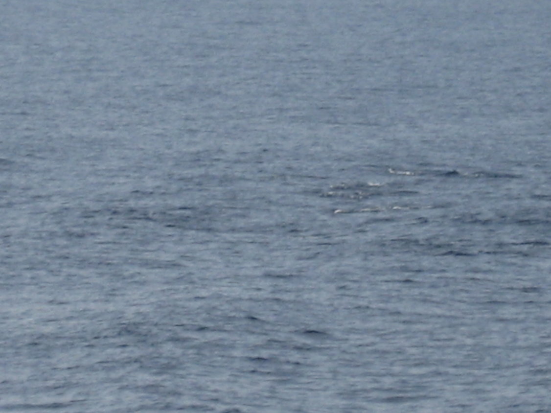 Das ist zu sehen (180)