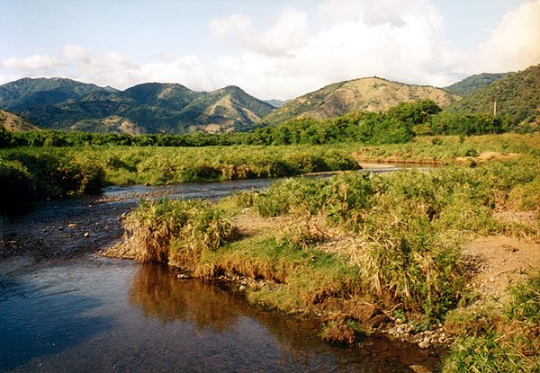 "Flott ging's dahin, auf Schotterpisten mit fallgrubenartigen Schlaglöchern, linkerhand das Meer, rechterhand, nah und steil, der Gebirgszug der Sierra Maestra. Nur vorübergehend wurde die gute Laune durch eine überraschend querende Ziege getrübt ..."