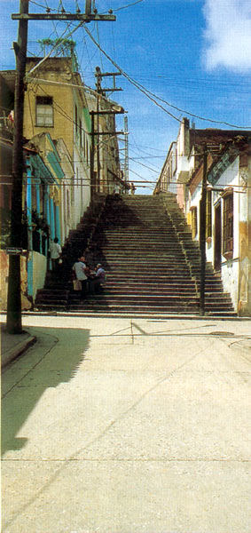 „Ohne sich lang mit Frühstücken aufzuhalten, eilte Broschkus stadteinwärts, die Padre-Pico-Treppe hinab und zur Markthalle, zum Tresen der Fleischer. Als er dort sogar mehrere Schweinsköpfe liegen sah ...“